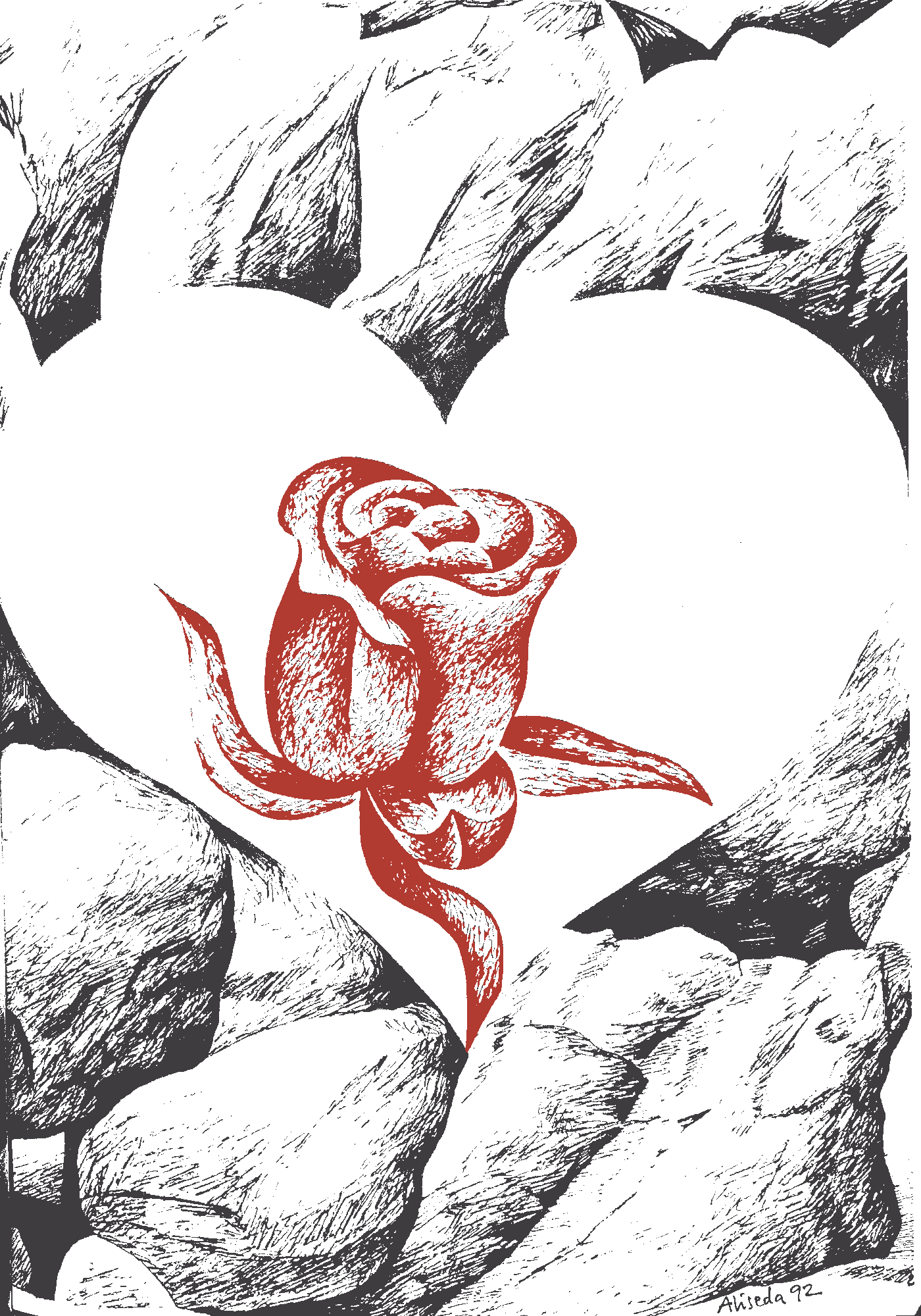  De las rocas sale un capullo